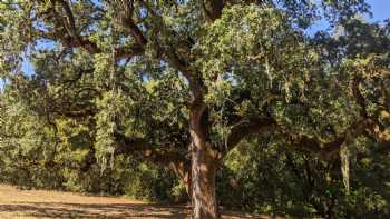 Kenwood Oaks Guest House