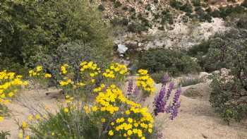 Deep Creek Hot Springs Campground @ The Bowen Ranch