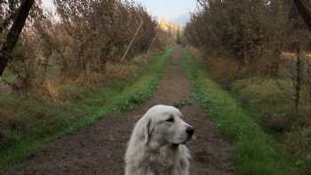 Jackson Family Farm Stay