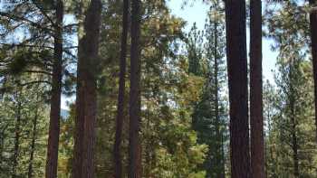 Lodge At Whitehawk Ranch