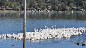 Clear Lake Vista Resort Boat Launch and Marina Open!