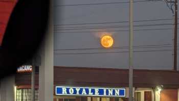 Royale Inn