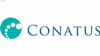 Conatus Consulting