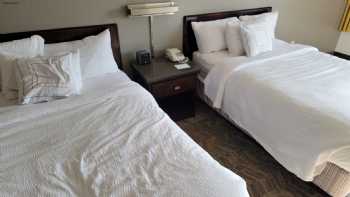 SpringHill Suites by Marriott Newark Liberty International Airport