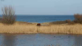 Hotel Strandvilla Seelust