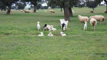 Casas Rural Los Cantaros