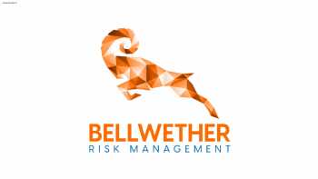 Bellwether Risk Management