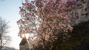 Schlosshotel Horneck im Siebenbürgischen Kultur und Begegnungszentrum