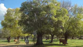 Casa Rural Los Barreros