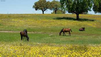 Reserva Biologica Campanarios de Azaba