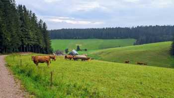 vacation on the farm