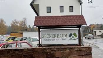 Hotel Grüner Baum