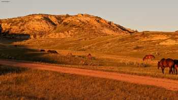 Wannagan Creek Cabins