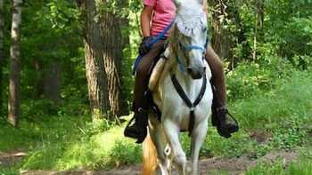 Sheyenne Oaks Campground