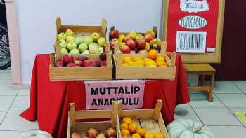 Muttalip Anaokulu