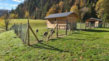 Hotel Schwarzwald-Gasthof Rößle