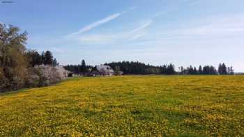 Oberjosenhof -ankommen, wohlfühlen, loslassen im Schwarzwald