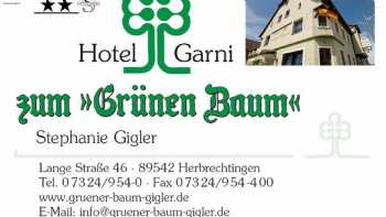 Hotel Grüner Baum