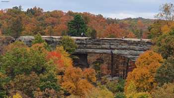 Natural Bridge State Resort Park