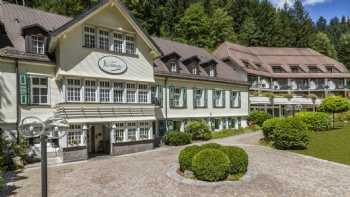 Waldhotel Bad Sulzburg