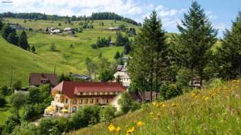 Naturparkhotel Grüner Baum