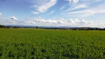 Landgasthof Ebner