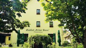 Hotel - Landgasthof Grüner Baum Dittigheim