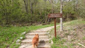 Cumberland Gap Wilderness Road Campground