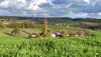 Pension am Hohberghof