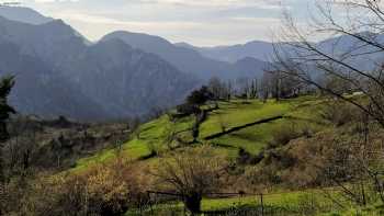 Casa rural El Tejo