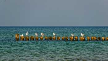 Residenz am Strand