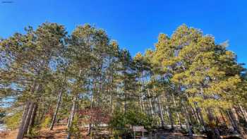 Ann Lake Campground