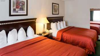 Quality Inn near Northtown Mall & National Sports Center