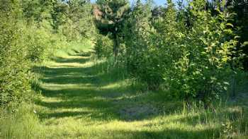 Red Pine Campground