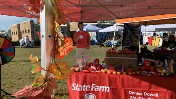 Denise Dowell - State Farm Insurance Agent