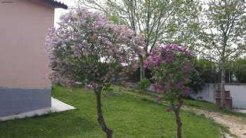 Casa Rural La Ermita del Viso