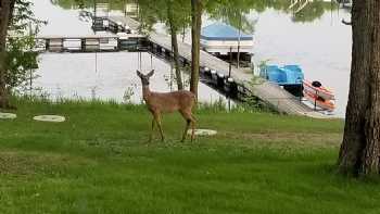 Your Haven Campground