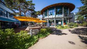 Hotel AQUAMARIS Strandresidenz Rügen