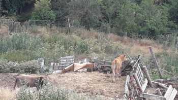 Albergue La Atalaya