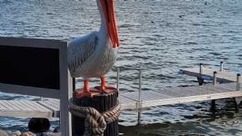 Lake Shetek Lodge