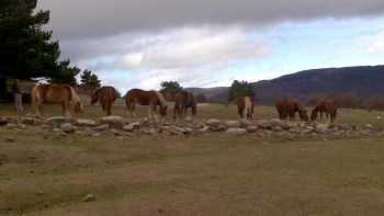 Casa Rural La Media Legua