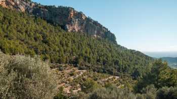 El Nido de Alaró