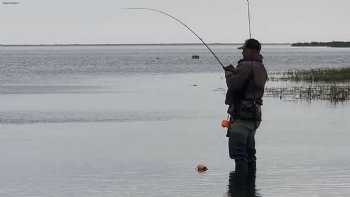 Bay Fishing Port O'Connor