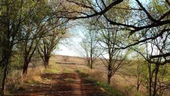 Bobcat Creek RV Park, Convenience Store, Gas Station and Propane Filling Station