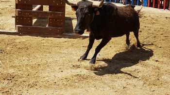 La Llar, casa rural