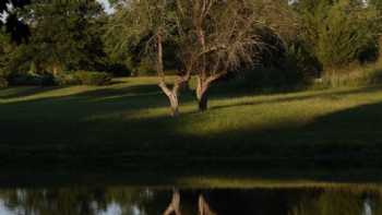 The Inn at Fox Briar Farm