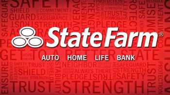 State Farm: Terry Davis