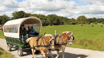 Hotel & Restaurant Zum Alten Ritter