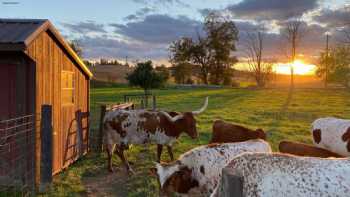 Airy Hill Ranch Guesthouse