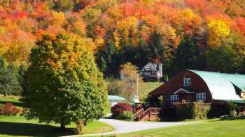 Frosty Hollow Bed & Breakfast